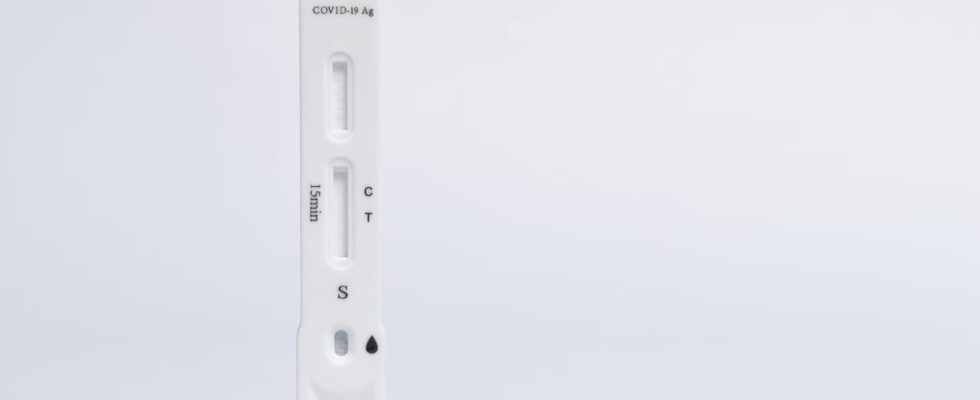 Bosch Test - PHG 630 DCE : avis et prix 2026