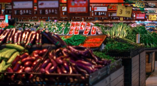 Budget alimentation responsable : 80€/mois c'est possible