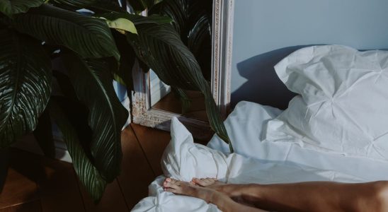 Guide des meilleures plantes pour dormir