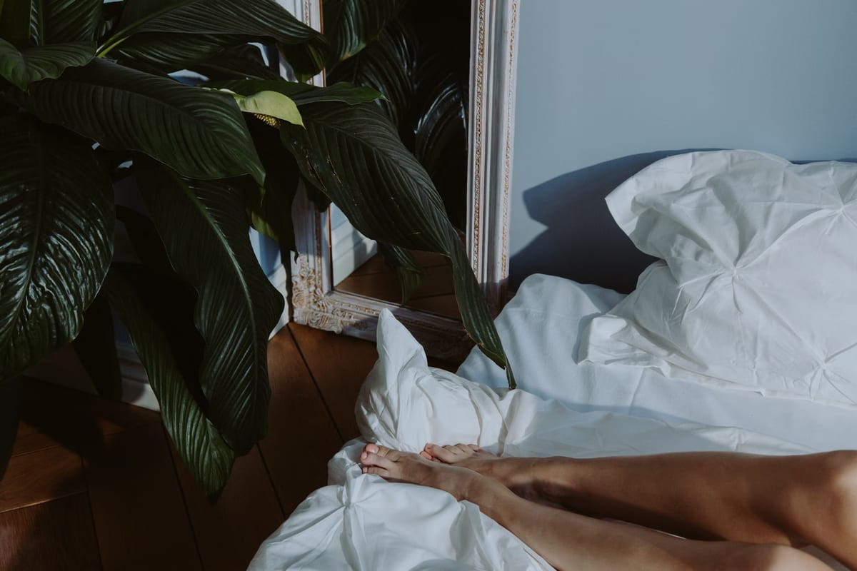 Guide des meilleures plantes pour dormir