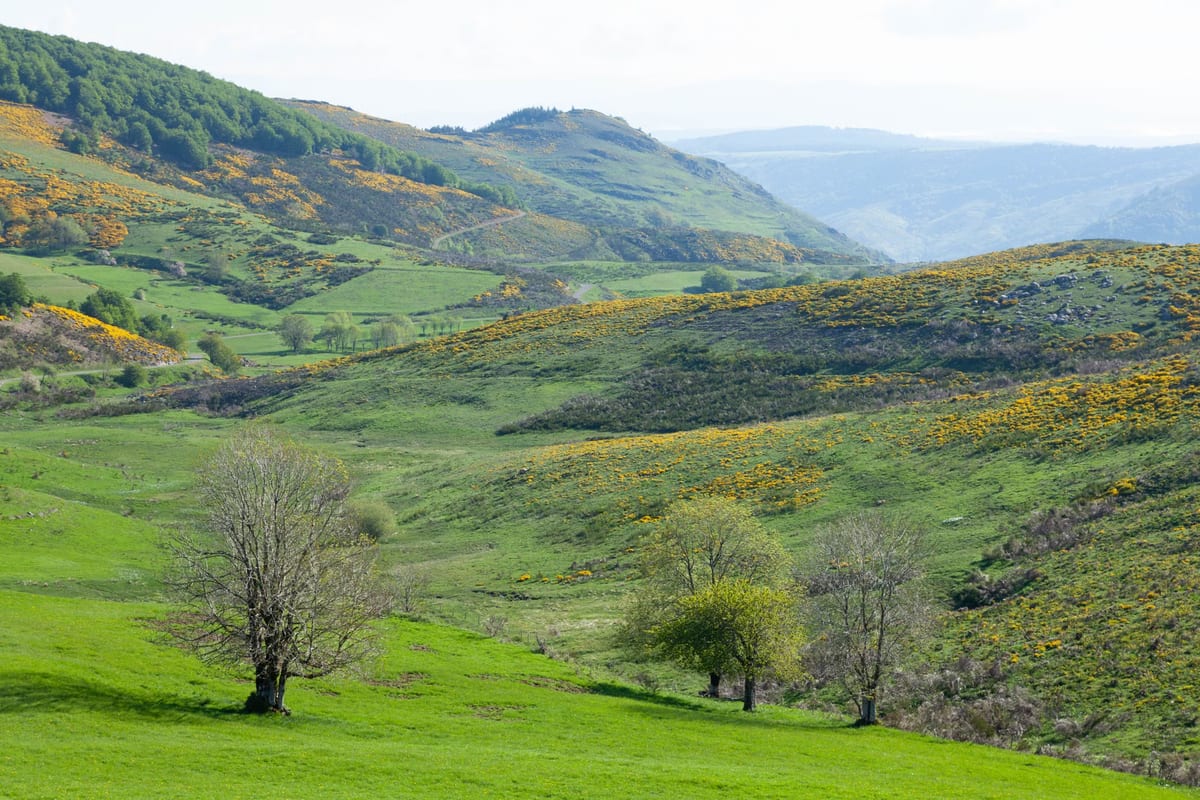 Que voir dans la Valle del Jerte