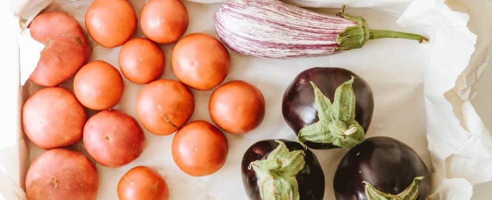 Recettes de saison : cuisinez les fruits et légumes de septembre