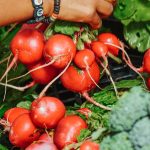 Alimentation durable et éthique : comment bien manger sans culpabilité