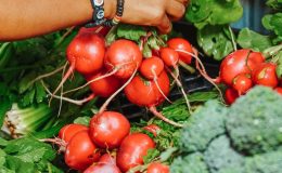 Alimentation durable et éthique : comment bien manger sans culpabilité