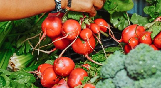 Alimentation durable et éthique : comment bien manger sans culpabilité