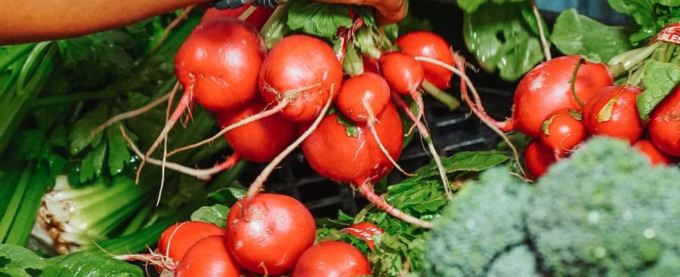 Alimentation durable et éthique : comment bien manger sans culpabilité