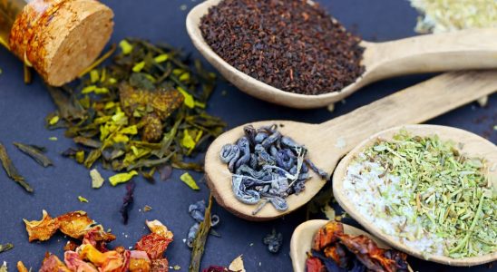 Avantages et contre-indications du thé à l'arnica