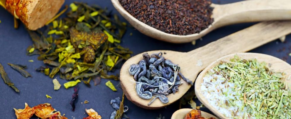 Avantages et contre-indications du thé à l'arnica