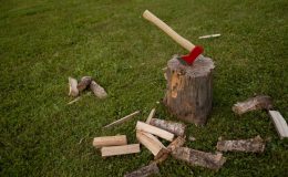 Top 10 Meilleur Fendeur De Buche 2026 - Comparatif - Tests - Avis