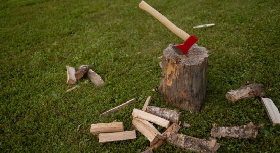 Top 10 Meilleur Fendeur De Buche 2026 - Comparatif - Tests - Avis