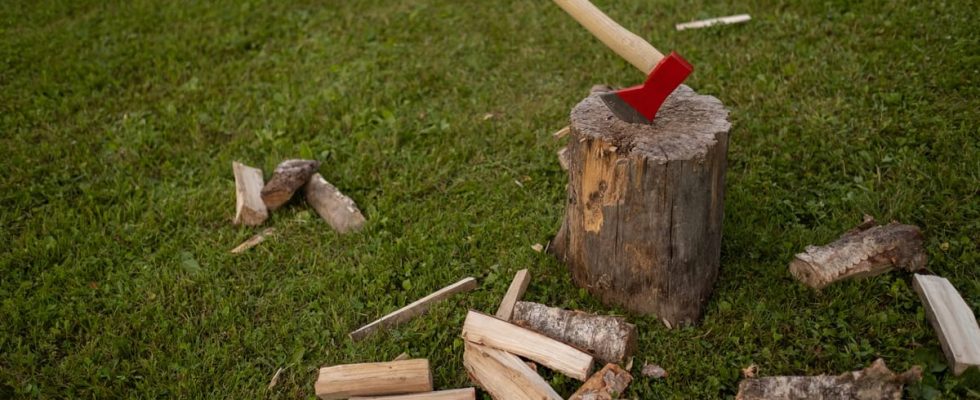 Top 10 Meilleur Fendeur De Buche 2026 - Comparatif - Tests - Avis
