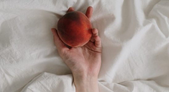 Santé et bien-être au quotidien : les vrais gestes efficaces